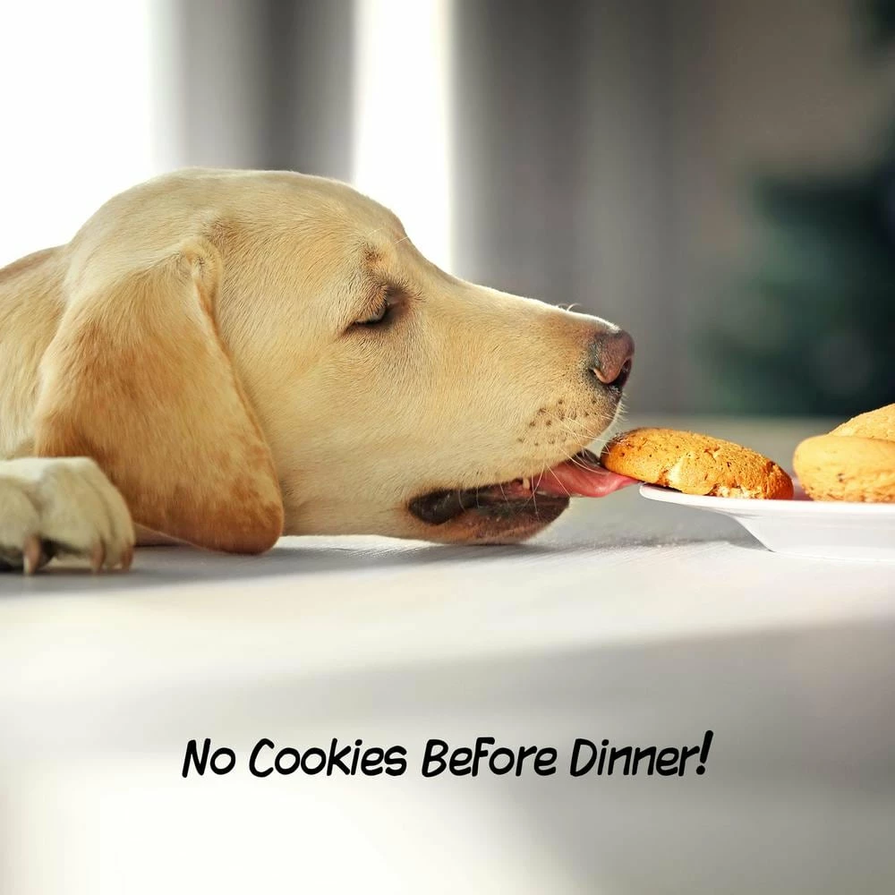 4-Panel Wooden Freestanding Folding Pet Gate with Scalloped Top in White by Petmaker 6 4-Panel Wooden Freestanding Folding Pet Gate with Scalloped Top in White by Petmaker - Image 6