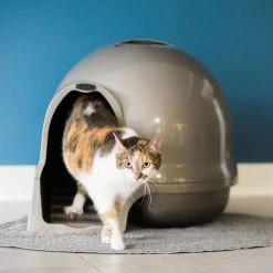 Booda Dome Titanium Cleanstep Litter Box by Petmate -Cheap Bird & Wildlife Supplies Store petmate litter boxes houses 50021 31 1000
