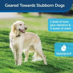 Stubborn Dog In-Ground Fence by PetSafe 11 Stubborn Dog In-Ground Fence by PetSafe -Cheap Bird & Wildlife Supplies Store petsafe fencing systems pig00 10777 44 1000