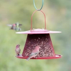 Red Cardinal Hanging Bird Feeder - 2.5 lb. Capacity by Perky-Pet 14 Red Cardinal Hanging Bird Feeder - 2.5 lb. Capacity by Perky-Pet -Cheap Bird & Wildlife Supplies Store red perky pet bird feeders c00322 1f 1000