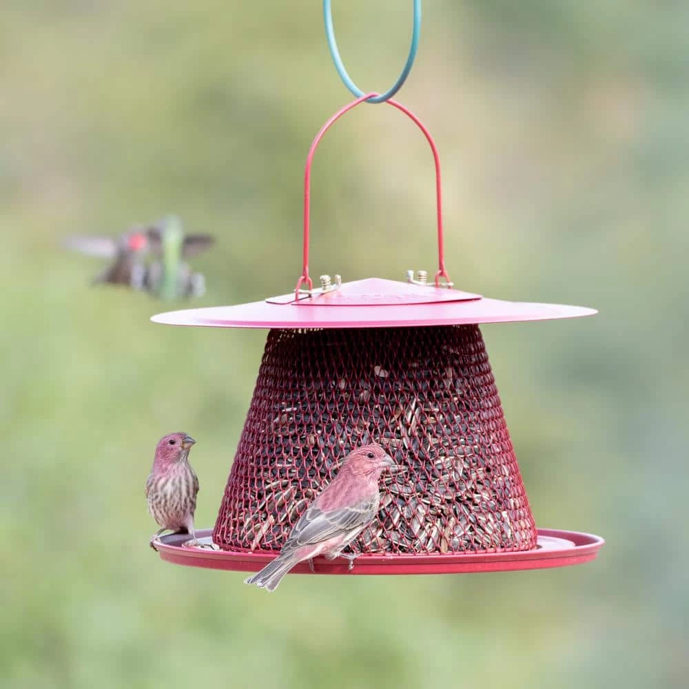 Red Cardinal Hanging Bird Feeder - 2.5 lb. Capacity by Perky-Pet 6 Red Cardinal Hanging Bird Feeder - 2.5 lb. Capacity by Perky-Pet - Image 6