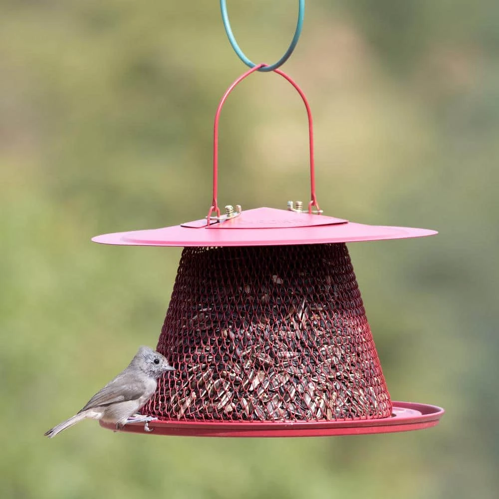 Red Cardinal Hanging Bird Feeder - 2.5 lb. Capacity by Perky-Pet 7 Red Cardinal Hanging Bird Feeder - 2.5 lb. Capacity by Perky-Pet - Image 7