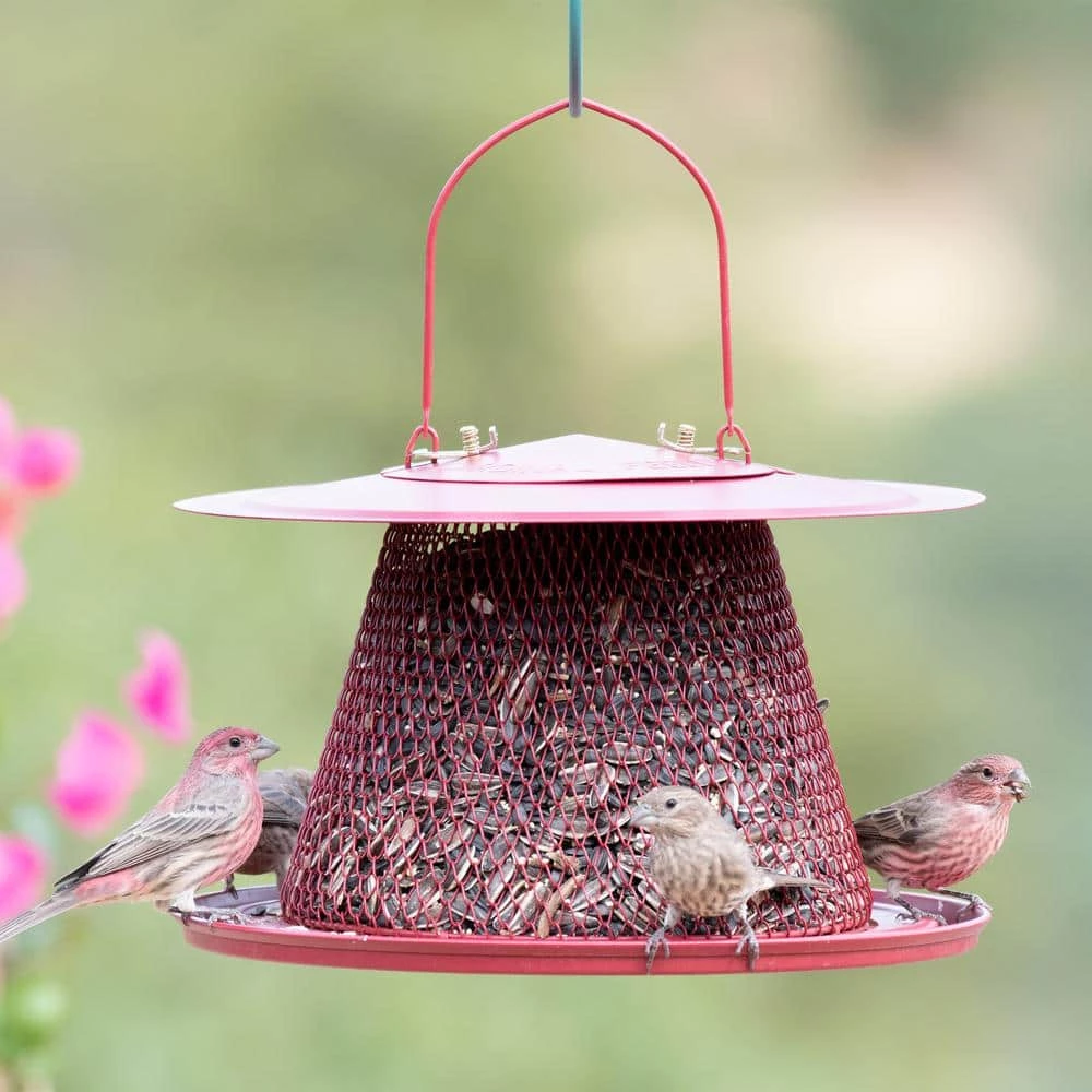 Red Cardinal Hanging Bird Feeder - 2.5 lb. Capacity by Perky-Pet 5 Red Cardinal Hanging Bird Feeder - 2.5 lb. Capacity by Perky-Pet - Image 5