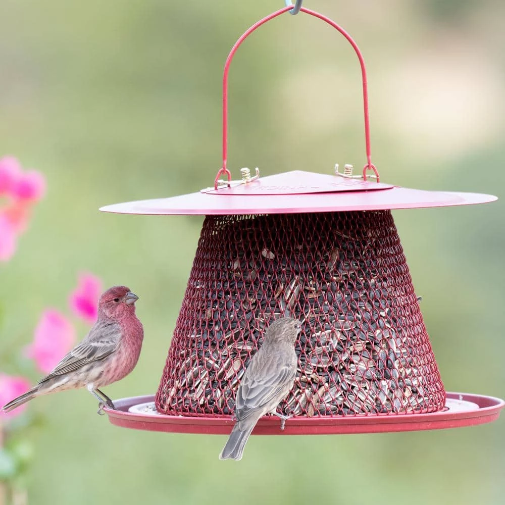 Red Cardinal Hanging Bird Feeder - 2.5 lb. Capacity by Perky-Pet 9 Red Cardinal Hanging Bird Feeder - 2.5 lb. Capacity by Perky-Pet - Image 9