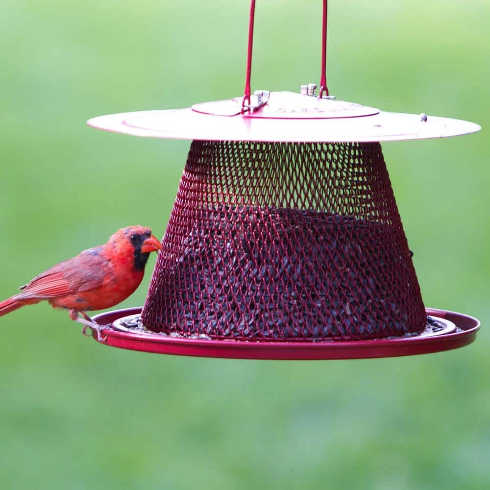Red Cardinal Hanging Bird Feeder - 2.5 lb. Capacity by Perky-Pet 2 Red Cardinal Hanging Bird Feeder - 2.5 lb. Capacity by Perky-Pet - Image 2