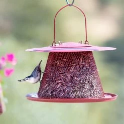 Red Cardinal Hanging Bird Feeder - 2.5 lb. Capacity by Perky-Pet 16 Red Cardinal Hanging Bird Feeder - 2.5 lb. Capacity by Perky-Pet -Cheap Bird & Wildlife Supplies Store red perky pet bird feeders c00322 fa 1000