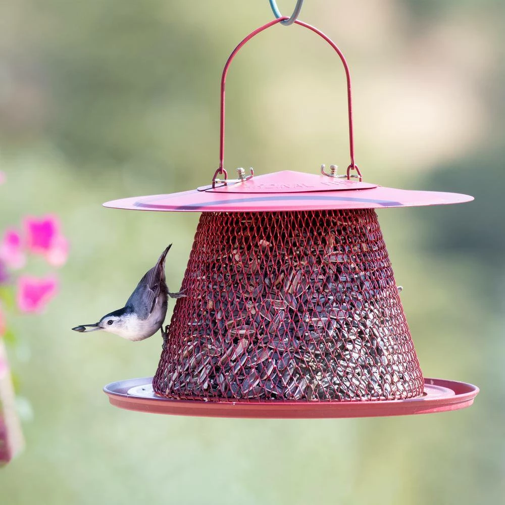 Red Cardinal Hanging Bird Feeder - 2.5 lb. Capacity by Perky-Pet 8 Red Cardinal Hanging Bird Feeder - 2.5 lb. Capacity by Perky-Pet - Image 8