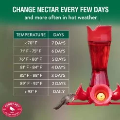 32 oz. Red Hummingbird Nectar Concentrate by Perky-Pet 15 32 oz. Red Hummingbird Nectar Concentrate by Perky-Pet -Cheap Bird & Wildlife Supplies Store red perky pet bird seed food 238 fa 1000