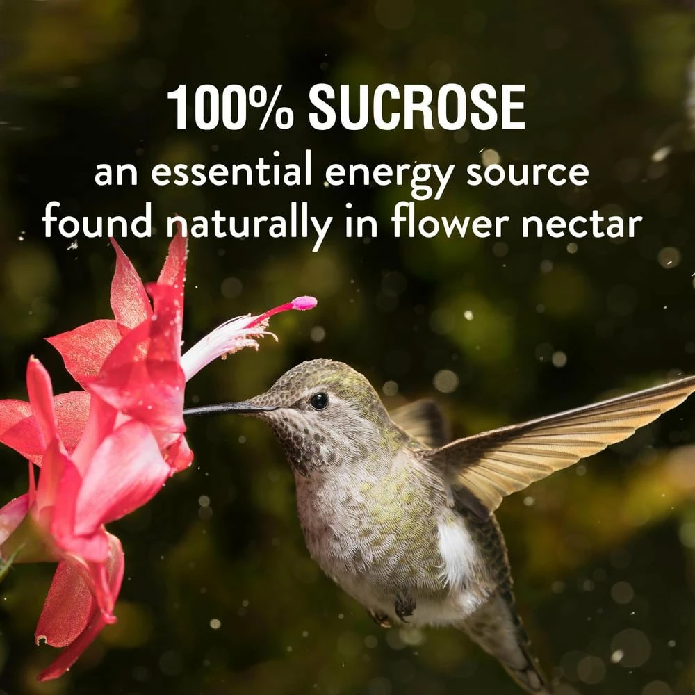 64 oz. Red Ready-to-Use Hummingbird Nectar by Perky-Pet 4 64 oz. Red Ready-to-Use Hummingbird Nectar by Perky-Pet - Image 4