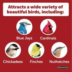 Recycled Ecozebo Red Bird Feeder by Pennington -Cheap Bird & Wildlife Supplies Store red top and base pennington bird feeders 100519451 a0 1000