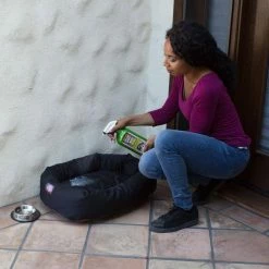 32 oz. Bio Dog Pet Stain and Odor Remover by Simple Green 7 32 oz. Bio Dog Pet Stain and Odor Remover by Simple Green -Cheap Bird & Wildlife Supplies Store simple green pet stain odor remover 2000000115301 31 1000