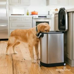 Large Pet Food Storage Can in Fingerprint-Proof Brushed Stainless Steel by simplehuman 13 Large Pet Food Storage Can in Fingerprint-Proof Brushed Stainless Steel by simplehuman -Cheap Bird & Wildlife Supplies Store simplehuman dog food storage scoops cw1886 76 1000