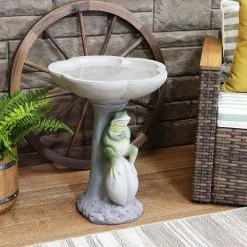 Polyresin Brooding Frog on Stone Outdoor Garden Bird Bath by Sunnydaze Decor 21 Polyresin Brooding Frog on Stone Outdoor Garden Bird Bath by Sunnydaze Decor -Cheap Bird & Wildlife Supplies Store sunnydaze decor bird bath fountains wnc 796 31 1000