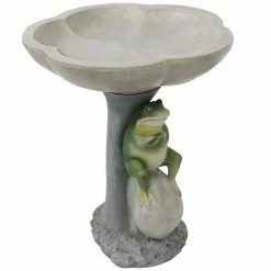 Polyresin Brooding Frog on Stone Outdoor Garden Bird Bath by Sunnydaze Decor