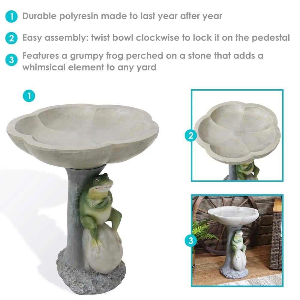 Polyresin Brooding Frog on Stone Outdoor Garden Bird Bath by Sunnydaze Decor 10 Polyresin Brooding Frog on Stone Outdoor Garden Bird Bath by Sunnydaze Decor - Image 10