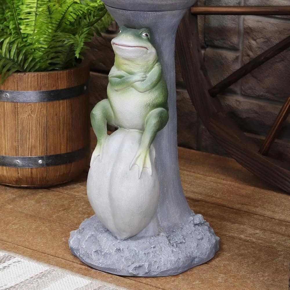 Polyresin Brooding Frog on Stone Outdoor Garden Bird Bath by Sunnydaze Decor 9 Polyresin Brooding Frog on Stone Outdoor Garden Bird Bath by Sunnydaze Decor - Image 9