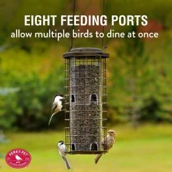 Squirrel Stumper Squirrel Resistant Metal Wild Bird Feeder - 3 lb. Capacity by Perky-Pet 12 Squirrel Stumper Squirrel Resistant Metal Wild Bird Feeder - 3 lb. Capacity by Perky-Pet -Cheap Bird & Wildlife Supplies Store tan perky pet bird feeders 114 1f 1000