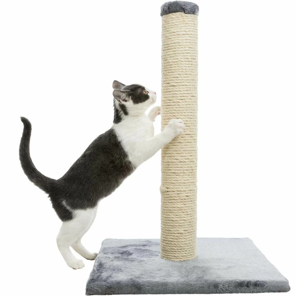 Parla Scratching Post, Dark Gray by TRIXIE 4 Parla Scratching Post, Dark Gray by TRIXIE - Image 4