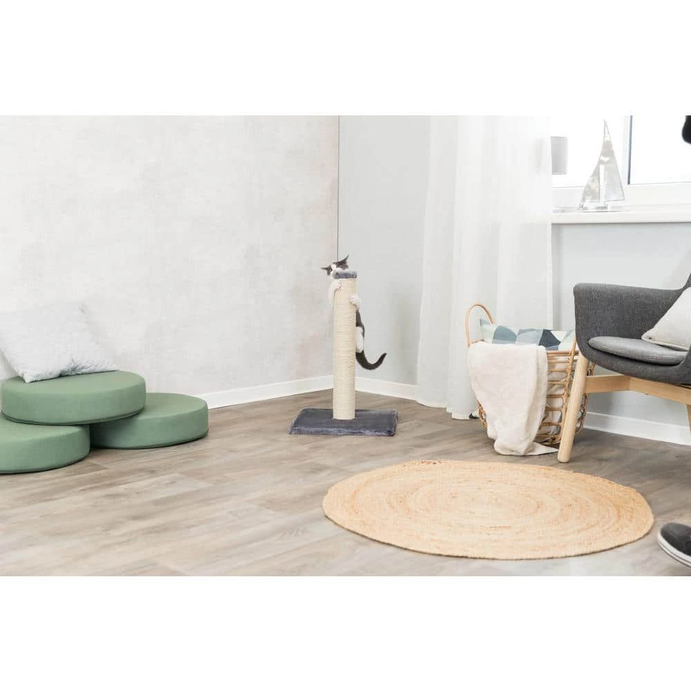 Parla Scratching Post, Dark Gray by TRIXIE 6 Parla Scratching Post, Dark Gray by TRIXIE - Image 6