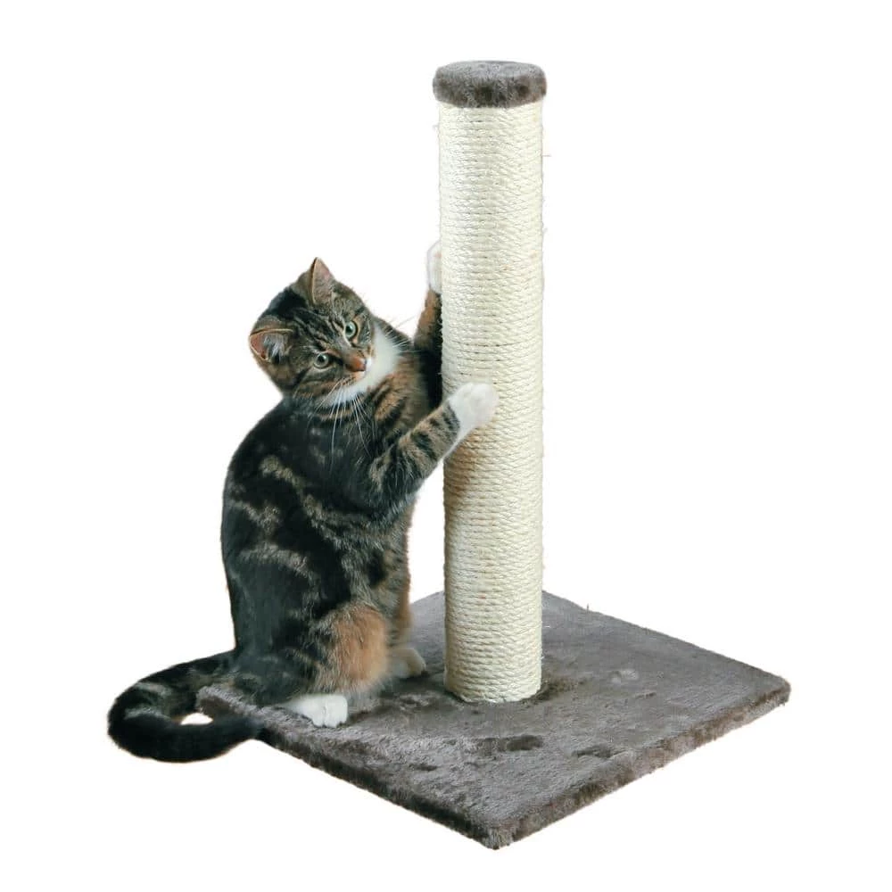 Parla Scratching Post, Dark Gray by TRIXIE 2 Parla Scratching Post, Dark Gray by TRIXIE - Image 2