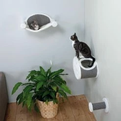 Cream/Gray Wall-Mounted Cat Lounging Set by TRIXIE -Cheap Bird & Wildlife Supplies Store trixie cat trees scratch posts 49923 1f 1000