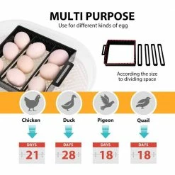 Mini Digital Egg Incubator with Automatic Egg Turning and Temperature Control by VIVOHOME 9 Mini Digital Egg Incubator with Automatic Egg Turning and Temperature Control by VIVOHOME -Cheap Bird & Wildlife Supplies Store vivohome accessories x001tntu1d 1f 1000