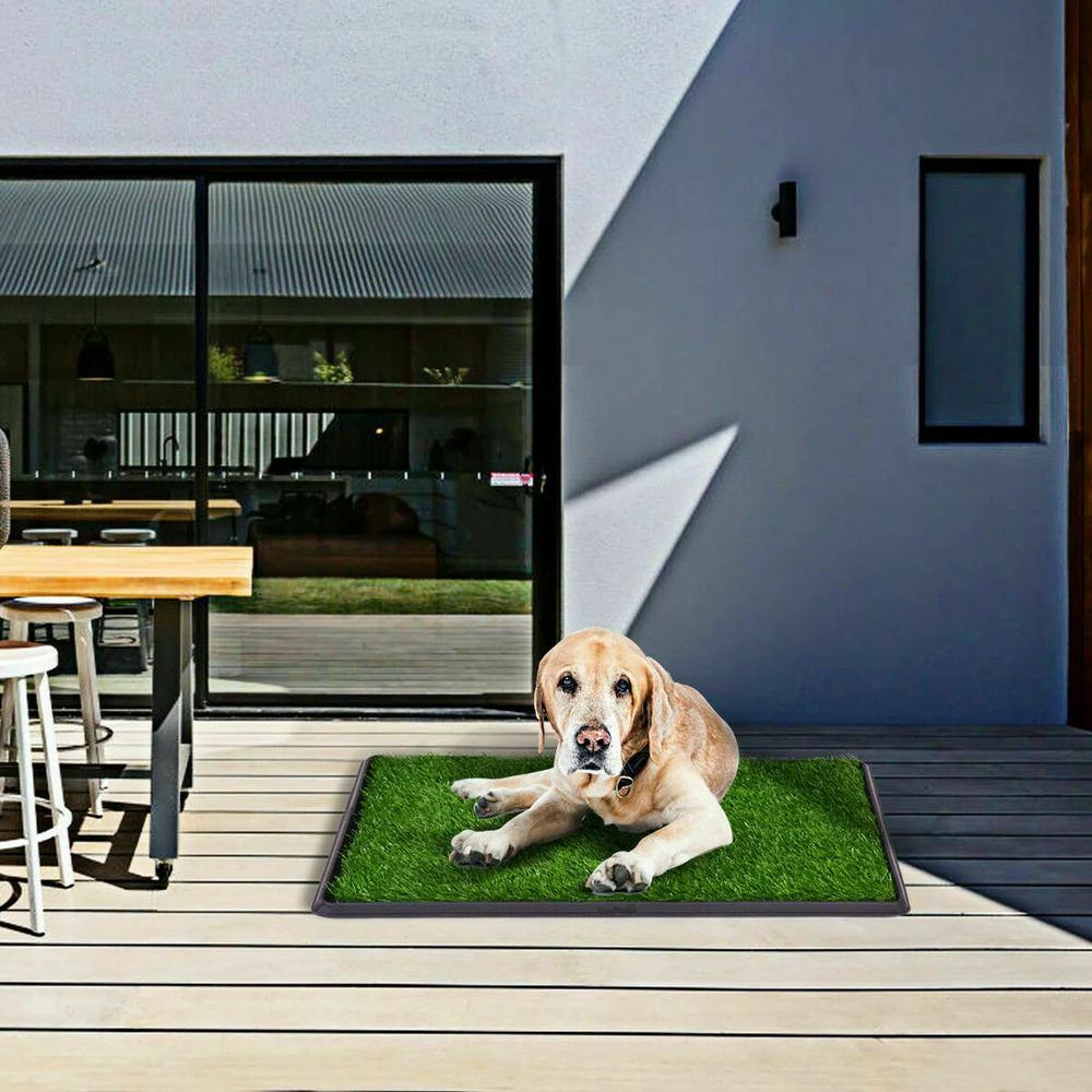 20 in. x 30 in. Puppy Potty Training Artificial Grass Mat by ANGELES HOME 6 20 in. x 30 in. Puppy Potty Training Artificial Grass Mat by ANGELES HOME - Image 6