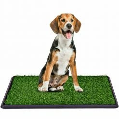 20 in. x 30 in. Puppy Potty Training Artificial Grass Mat by ANGELES HOME 10 20 in. x 30 in. Puppy Potty Training Artificial Grass Mat by ANGELES HOME -Cheap Bird & Wildlife Supplies Store waste disposal systems m73 8ps71 c3 1000