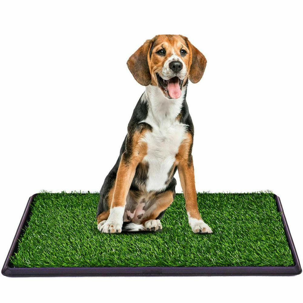 20 in. x 30 in. Puppy Potty Training Artificial Grass Mat by ANGELES HOME 5 20 in. x 30 in. Puppy Potty Training Artificial Grass Mat by ANGELES HOME - Image 5