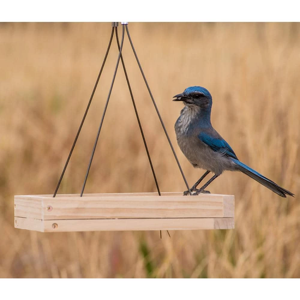 Hanging Tray Wood Bird Feeder - 1.6 lb. Capacity by Perky-Pet 2 Hanging Tray Wood Bird Feeder - 1.6 lb. Capacity by Perky-Pet - Image 2