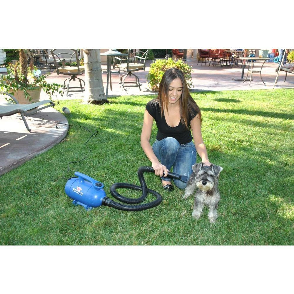2 HP Green Pro-At-Home Pet Dryer with Vacuum by XPOWER 5 2 HP Green Pro-At-Home Pet Dryer with Vacuum by XPOWER - Image 5