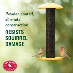 Yellow Straight Sided Finch Tube Hanging Bird Feeder - 1.5 lb. Capacity by Perky-Pet -Cheap Bird & Wildlife Supplies Store yellow perky pet bird feeders yssf00346 1f 1000