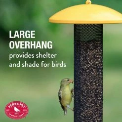 Yellow Straight Sided Finch Tube Hanging Bird Feeder - 1.5 lb. Capacity by Perky-Pet -Cheap Bird & Wildlife Supplies Store yellow perky pet bird feeders yssf00346 44 1000