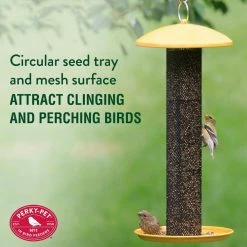 Yellow Straight Sided Finch Tube Hanging Bird Feeder - 1.5 lb. Capacity by Perky-Pet -Cheap Bird & Wildlife Supplies Store yellow perky pet bird feeders yssf00346 76 1000
