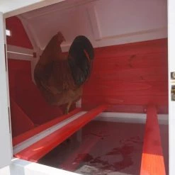 Big Farm Chicken Coop by zoovilla -Cheap Bird & Wildlife Supplies Store zoovilla accessories pth1220020612 44 1000